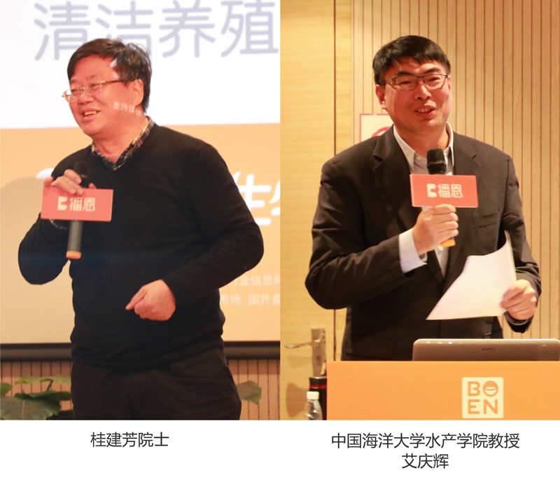 新宝GG「创造奇迹的游戏平台」