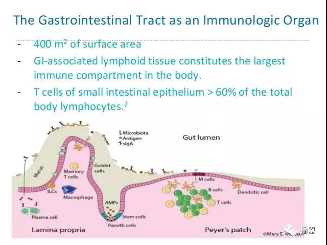 新宝GG「创造奇迹的游戏平台」