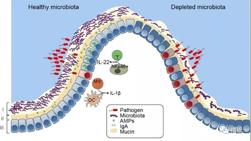 新宝GG「创造奇迹的游戏平台」