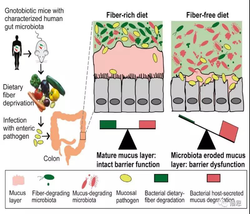 新宝GG「创造奇迹的游戏平台」