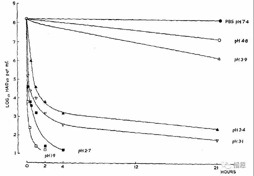 新宝GG「创造奇迹的游戏平台」
