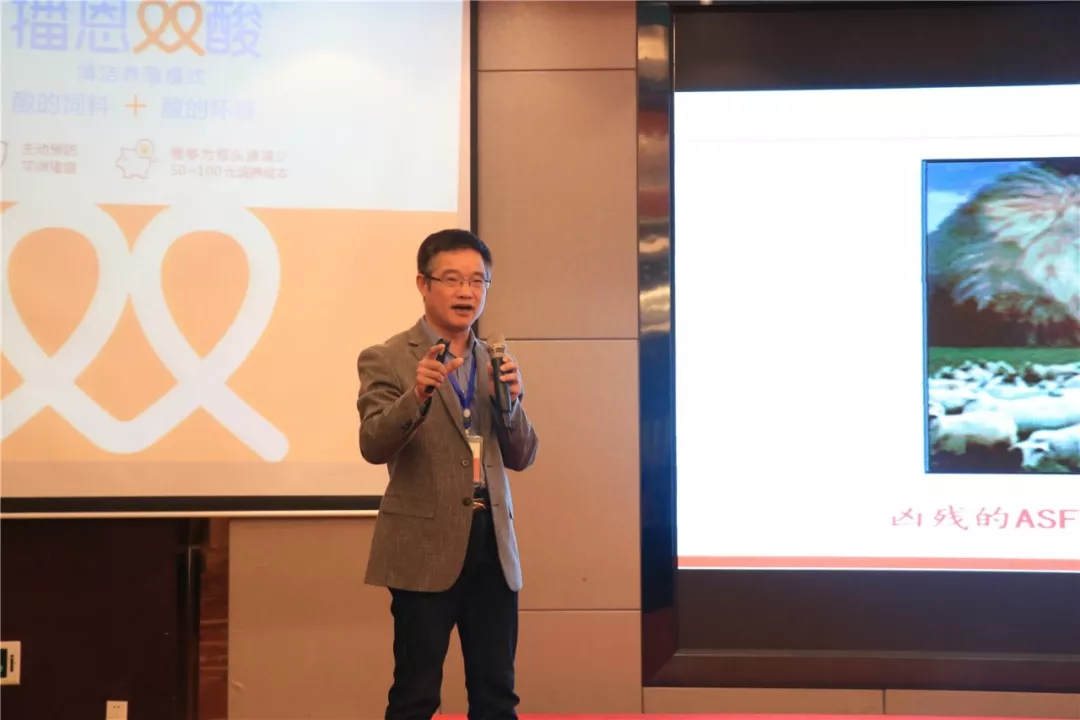 新宝GG「创造奇迹的游戏平台」