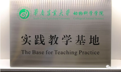 新宝GG「创造奇迹的游戏平台」