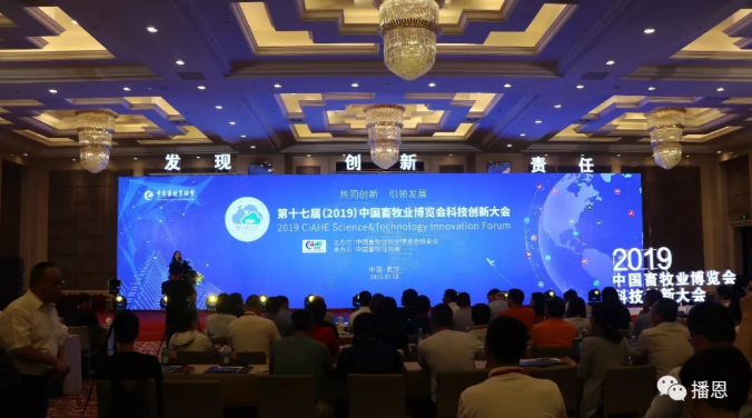 新宝GG「创造奇迹的游戏平台」