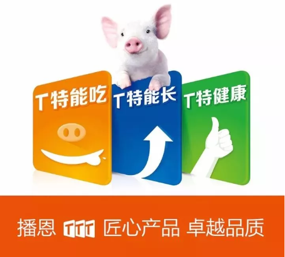 新宝GG「创造奇迹的游戏平台」