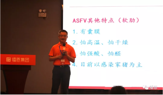 新宝GG「创造奇迹的游戏平台」