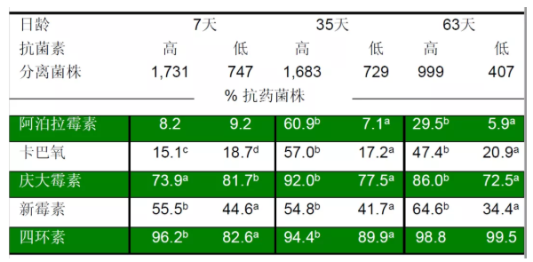 新宝GG「创造奇迹的游戏平台」
