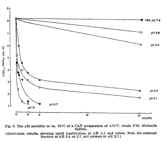 新宝GG「创造奇迹的游戏平台」