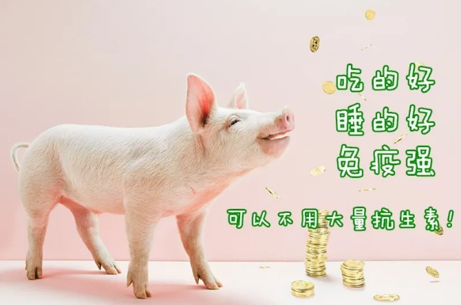 新宝GG「创造奇迹的游戏平台」