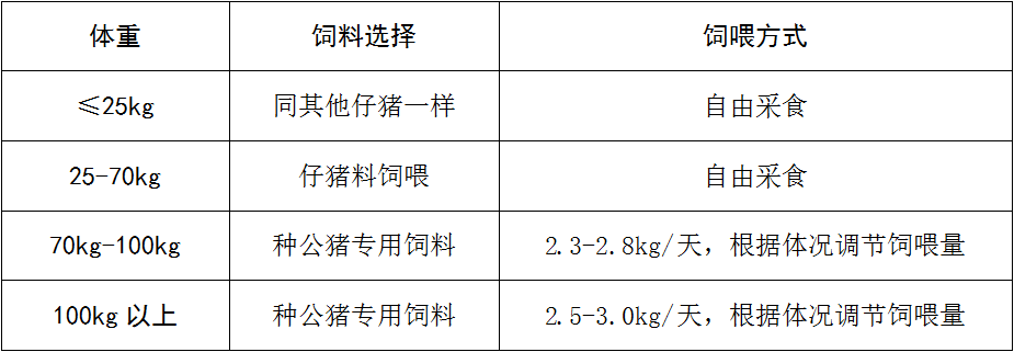 新宝GG「创造奇迹的游戏平台」