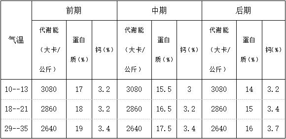 新宝GG「创造奇迹的游戏平台」