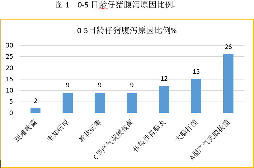 新宝GG「创造奇迹的游戏平台」