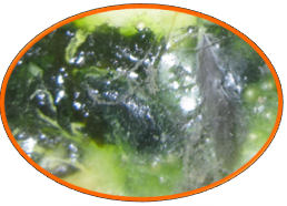 新宝GG「创造奇迹的游戏平台」