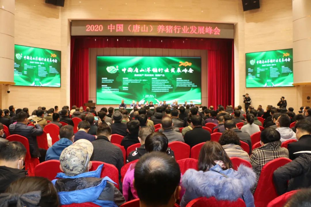 新宝GG「创造奇迹的游戏平台」