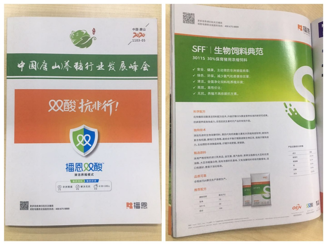 新宝GG「创造奇迹的游戏平台」