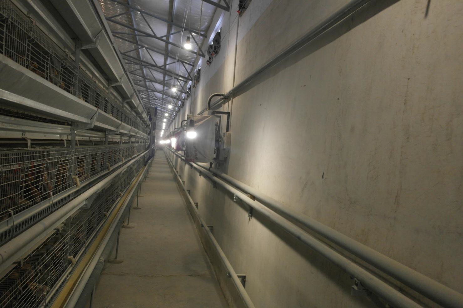 新宝GG「创造奇迹的游戏平台」