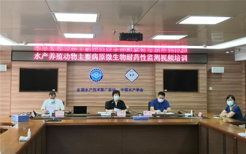 新宝GG「创造奇迹的游戏平台」