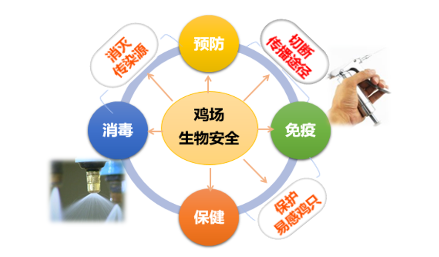 新宝GG「创造奇迹的游戏平台」