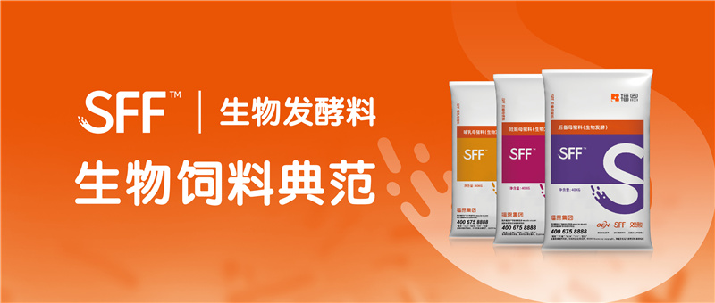 新宝GG「创造奇迹的游戏平台」