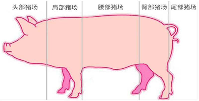 新宝GG「创造奇迹的游戏平台」