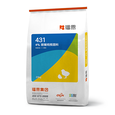 新宝GG「创造奇迹的游戏平台」