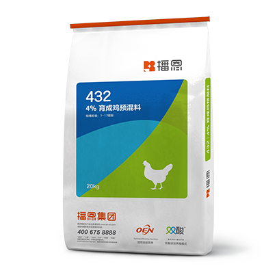 新宝GG「创造奇迹的游戏平台」