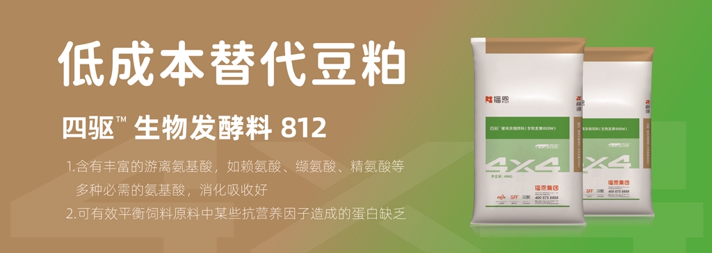新宝GG「创造奇迹的游戏平台」