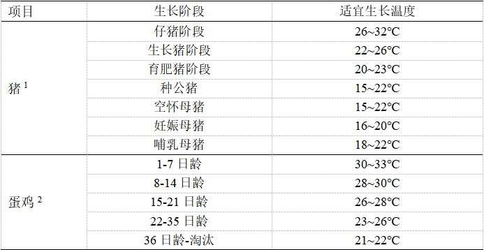 新宝GG「创造奇迹的游戏平台」