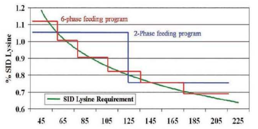 新宝GG「创造奇迹的游戏平台」