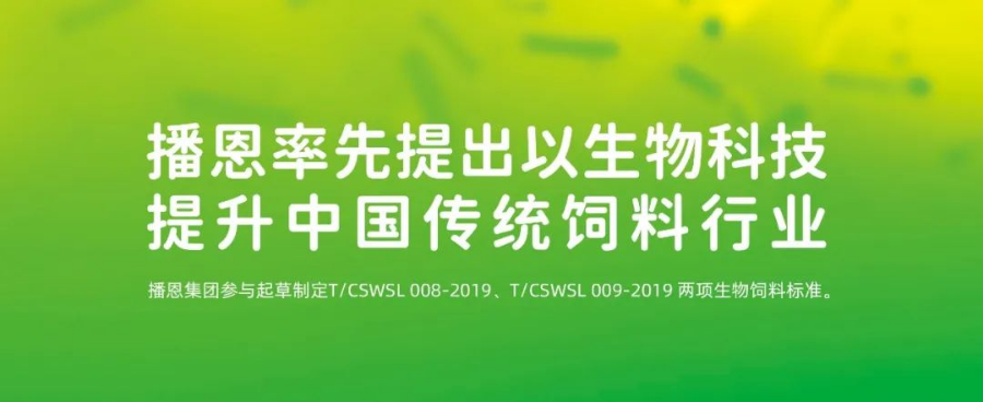 新宝GG「创造奇迹的游戏平台」