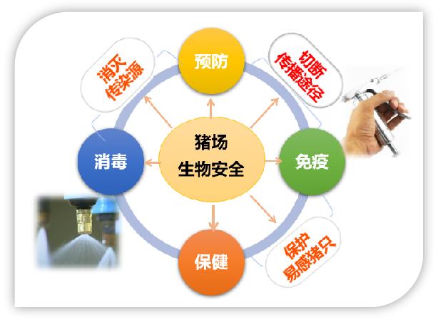 新宝GG「创造奇迹的游戏平台」