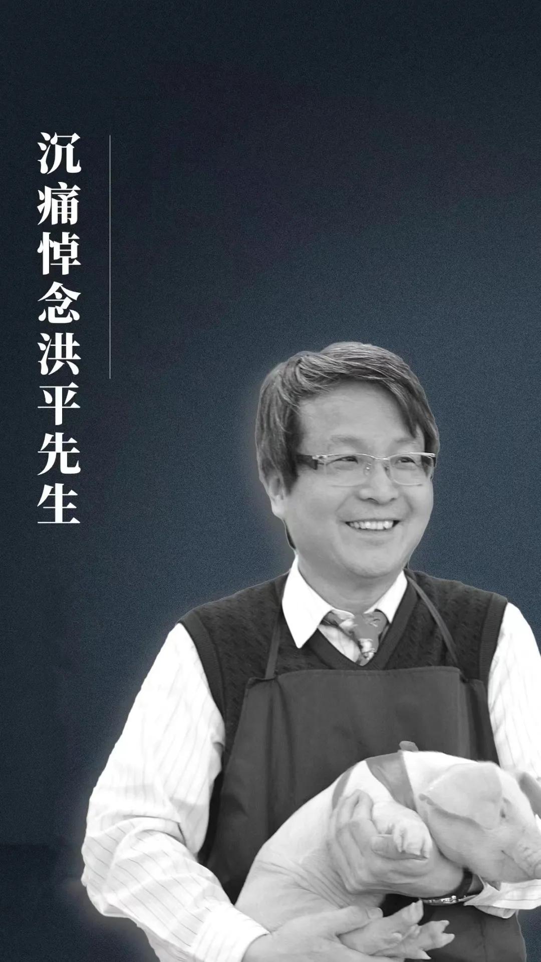 新宝GG「创造奇迹的游戏平台」