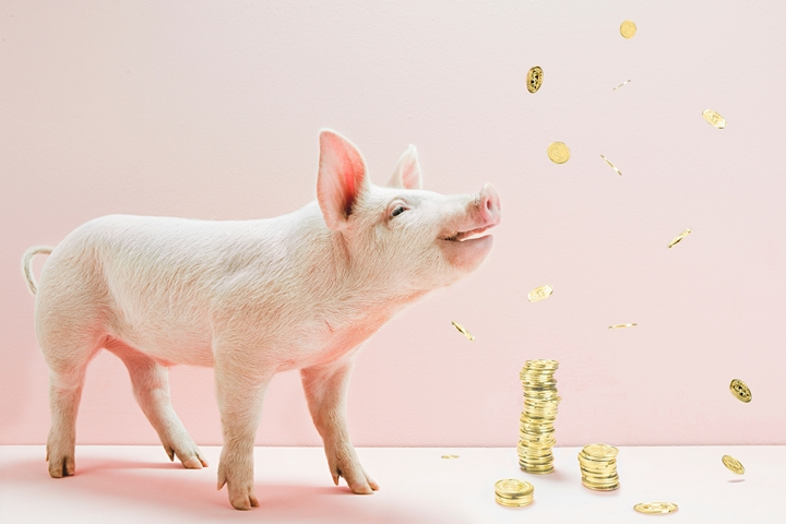 新宝GG「创造奇迹的游戏平台」